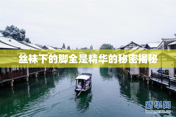 丝袜下的脚全是精华的秘密揭秘