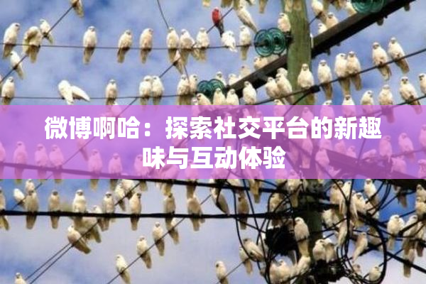 微博啊哈：探索社交平台的新趣味与互动体验
