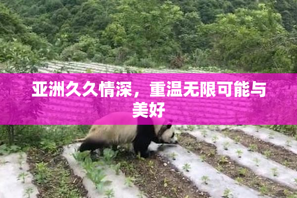 亚洲久久情深，重温无限可能与美好