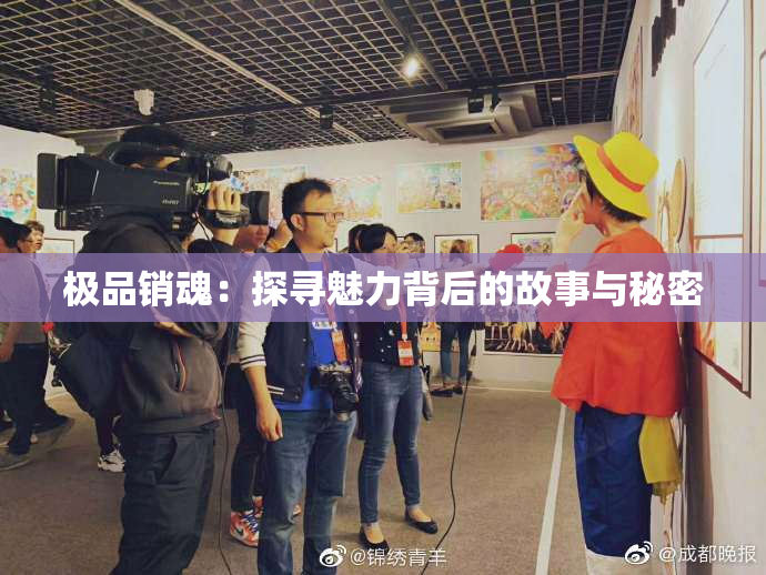 极品销魂：探寻魅力背后的故事与秘密