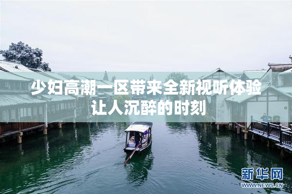 少妇高潮一区带来全新视听体验 让人沉醉的时刻
