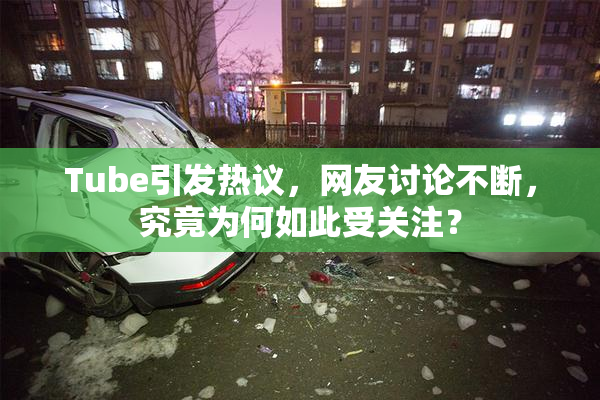 Tube引发热议，网友讨论不断，究竟为何如此受关注？