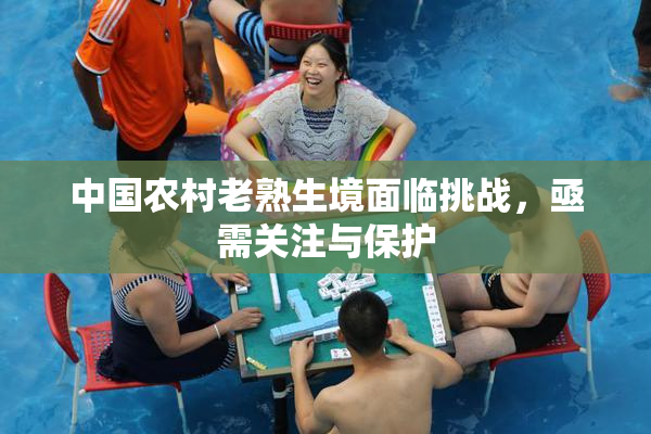 中国农村老熟生境面临挑战，亟需关注与保护