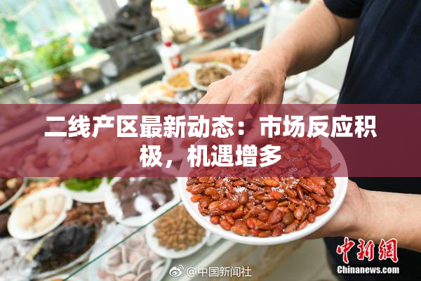 二线产区最新动态：市场反应积极，机遇增多