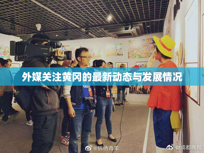 外媒关注黄冈的最新动态与发展情况