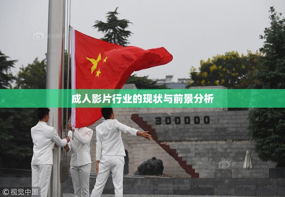 成人影片行业的现状与前景分析