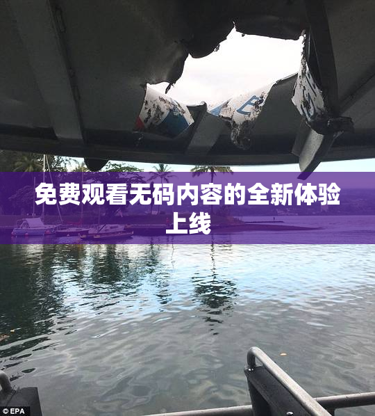免费观看无码内容的全新体验上线