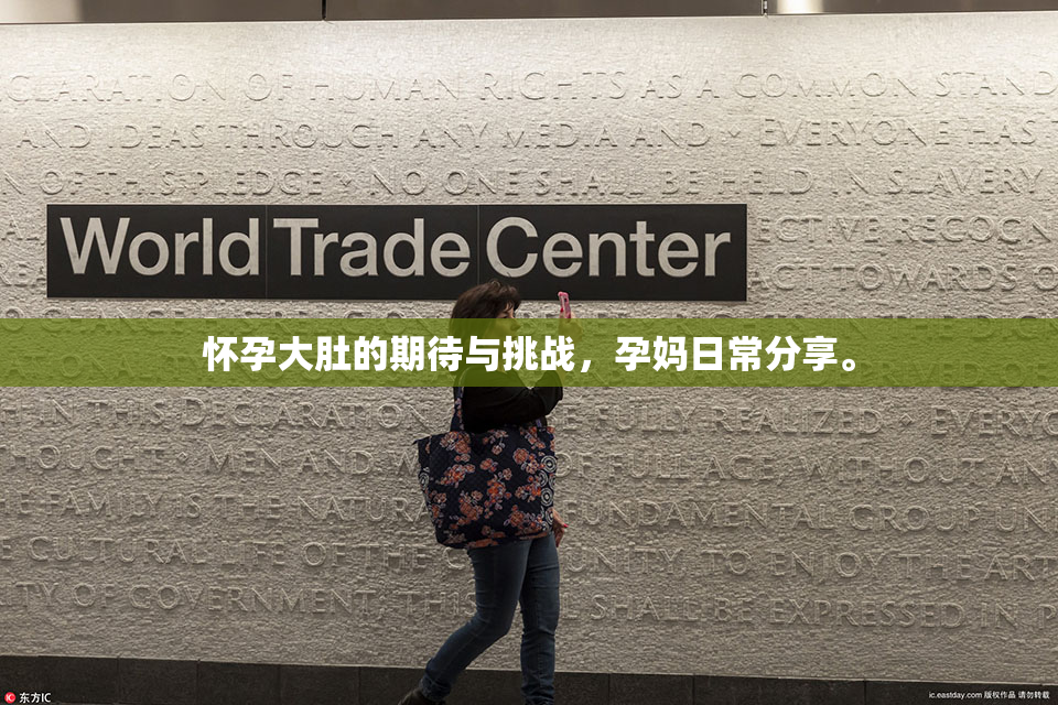 怀孕大肚的期待与挑战，孕妈日常分享。