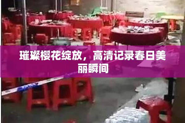 璀璨樱花绽放，高清记录春日美丽瞬间