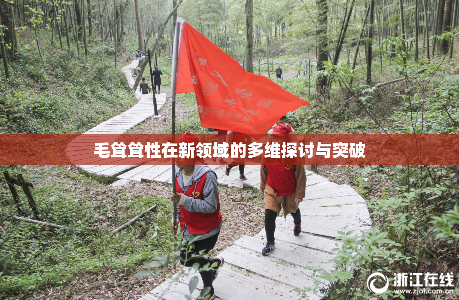 毛耸耸性在新领域的多维探讨与突破