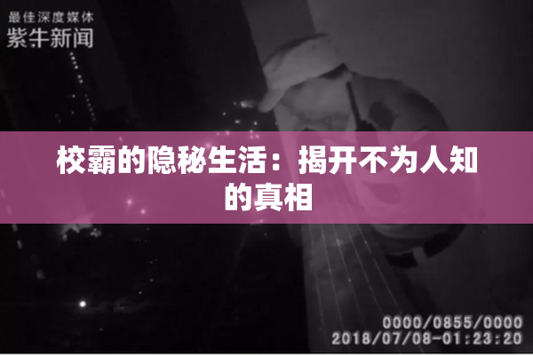 校霸的隐秘生活：揭开不为人知的真相
