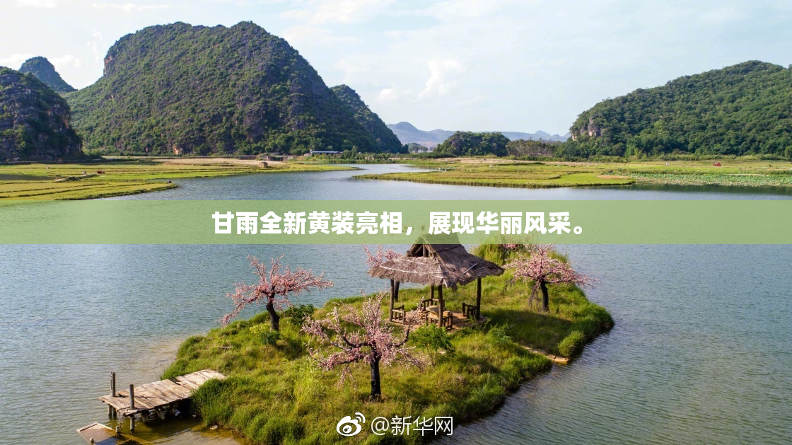 甘雨全新黄装亮相，展现华丽风采。