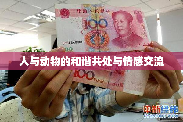 人与动物的和谐共处与情感交流
