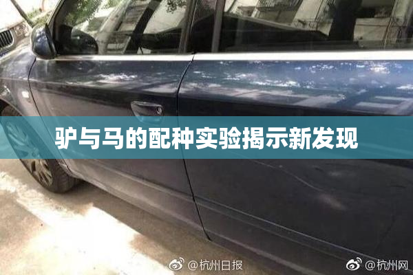 驴与马的配种实验揭示新发现