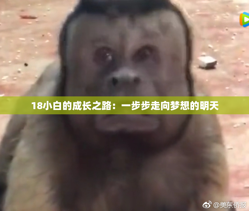 18小白的成长之路：一步步走向梦想的明天