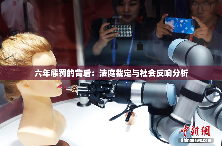 六年惩罚的背后：法庭裁定与社会反响分析
