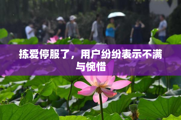 拣爱停服了，用户纷纷表示不满与惋惜