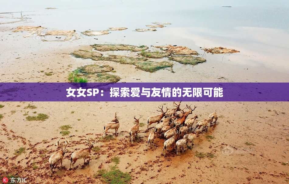 女女SP：探索爱与友情的无限可能
