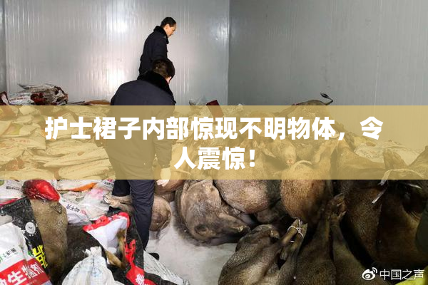 护士裙子内部惊现不明物体，令人震惊！