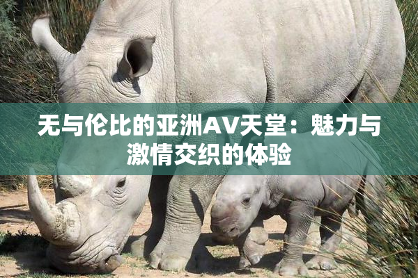 无与伦比的亚洲AV天堂：魅力与激情交织的体验