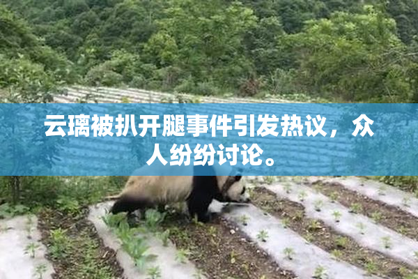 云璃被扒开腿事件引发热议，众人纷纷讨论。