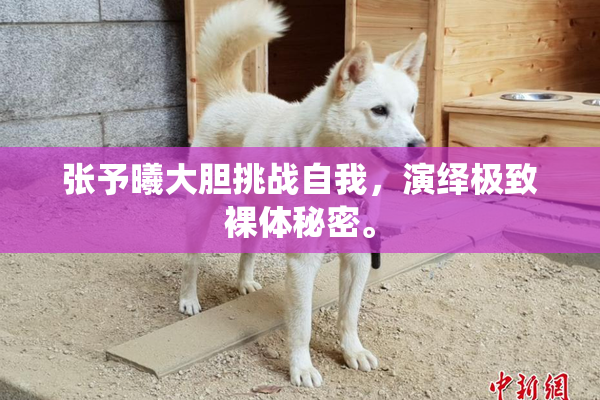 张予曦大胆挑战自我，演绎极致裸体秘密。