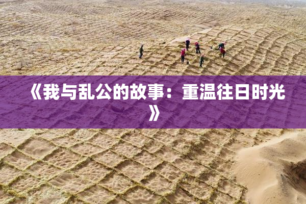《我与乱公的故事：重温往日时光》
