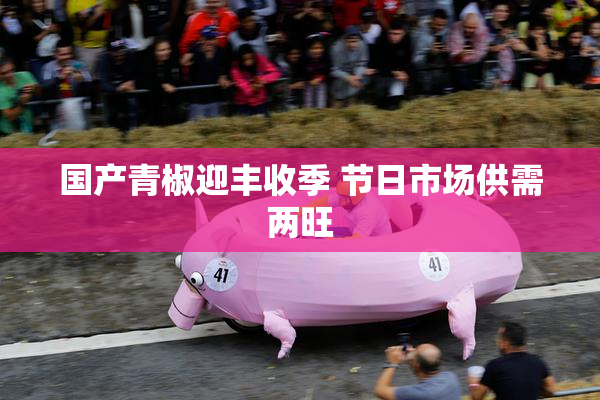 国产青椒迎丰收季 节日市场供需两旺