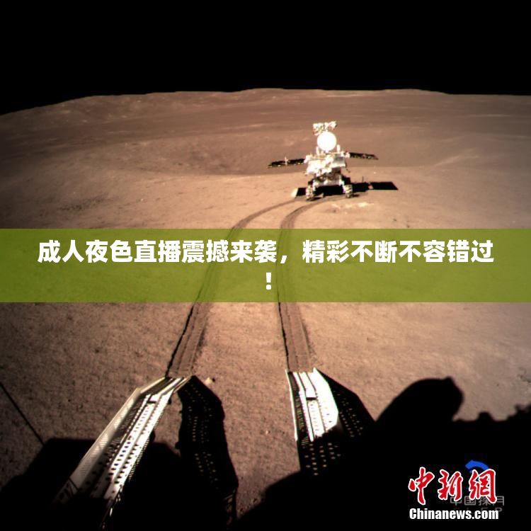 成人夜色直播震撼来袭，精彩不断不容错过！