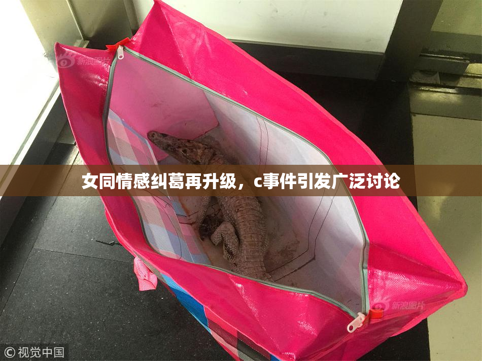 女同情感纠葛再升级，c事件引发广泛讨论