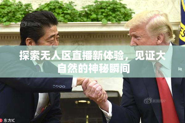 探索无人区直播新体验，见证大自然的神秘瞬间