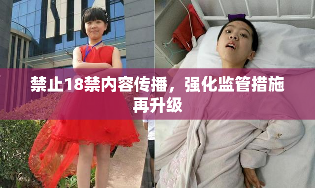 禁止18禁内容传播，强化监管措施再升级