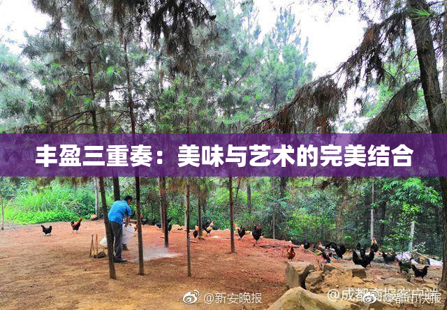 丰盈三重奏：美味与艺术的完美结合
