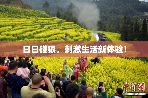 日日碰狠，刺激生活新体验！