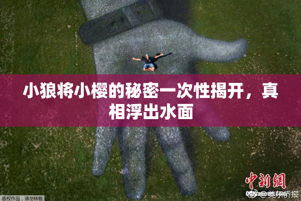 小狼将小樱的秘密一次性揭开，真相浮出水面