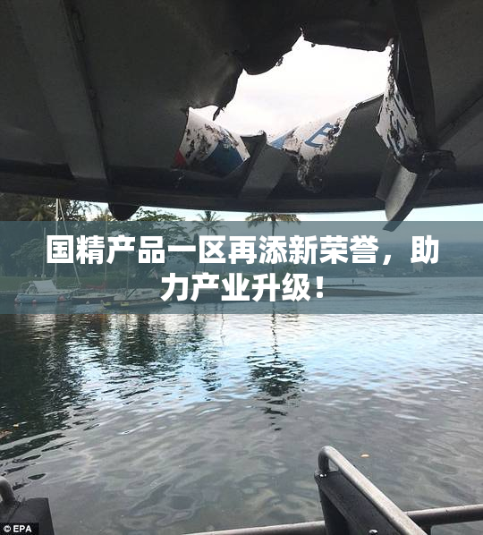 国精产品一区再添新荣誉，助力产业升级！