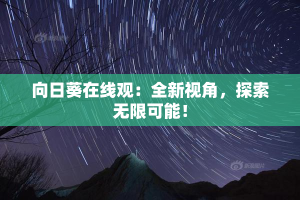 向日葵在线观：全新视角，探索无限可能！