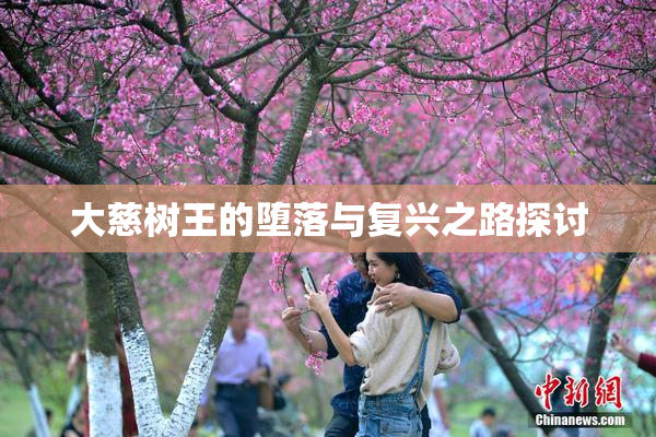 大慈树王的堕落与复兴之路探讨