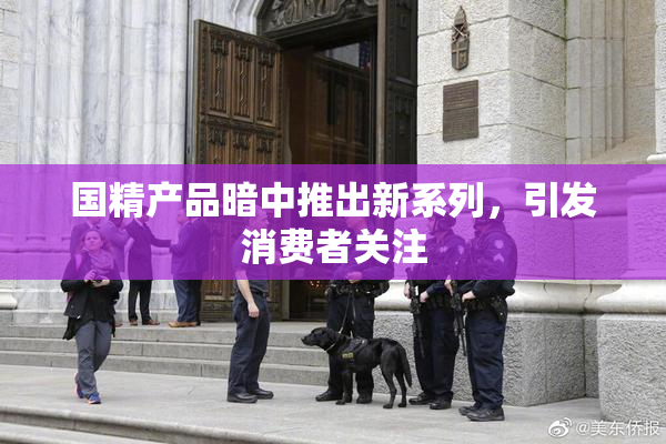国精产品暗中推出新系列，引发消费者关注