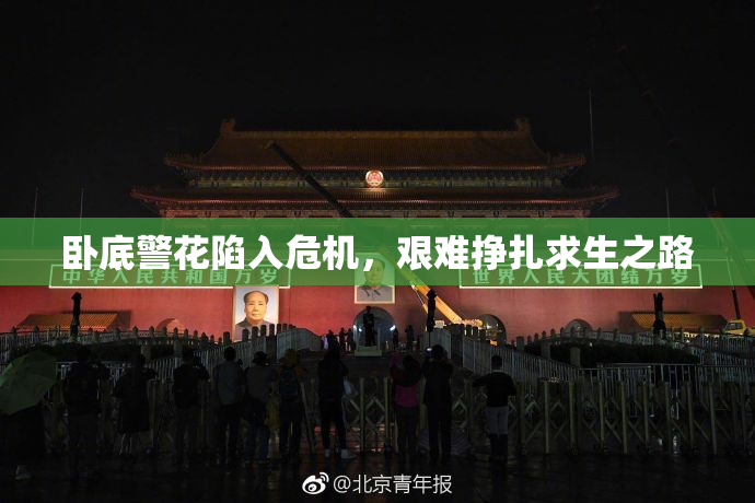 卧底警花陷入危机，艰难挣扎求生之路