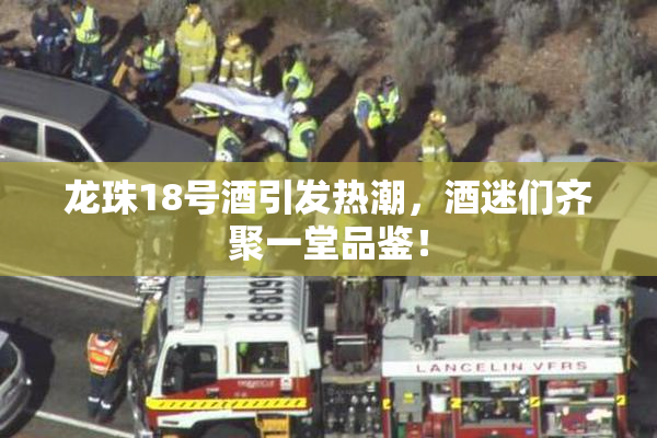 龙珠18号酒引发热潮，酒迷们齐聚一堂品鉴！