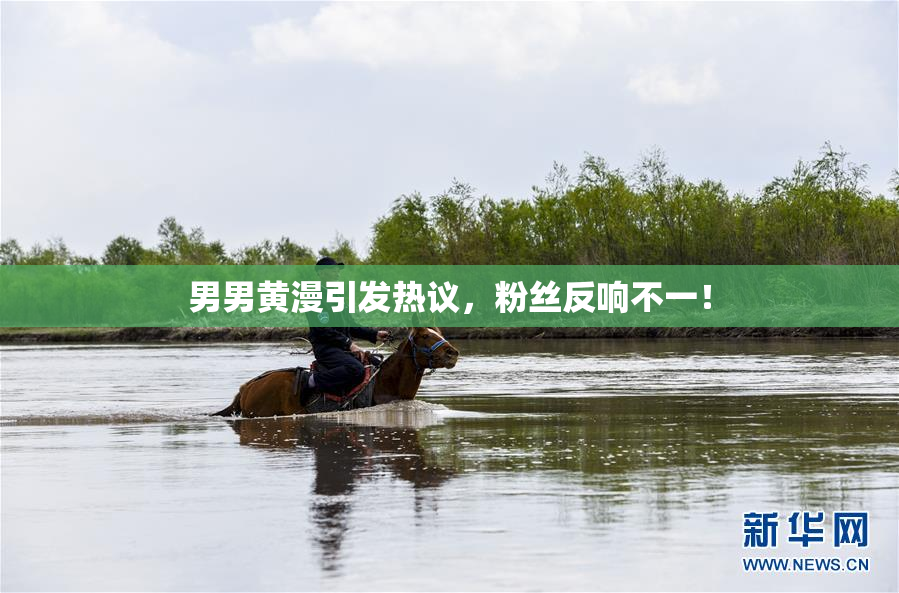 男男黄漫引发热议，粉丝反响不一！