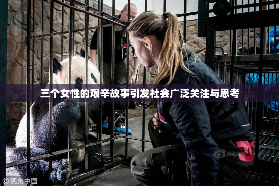 三个女性的艰辛故事引发社会广泛关注与思考