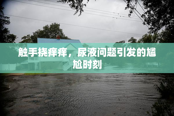 触手挠痒痒，尿液问题引发的尴尬时刻