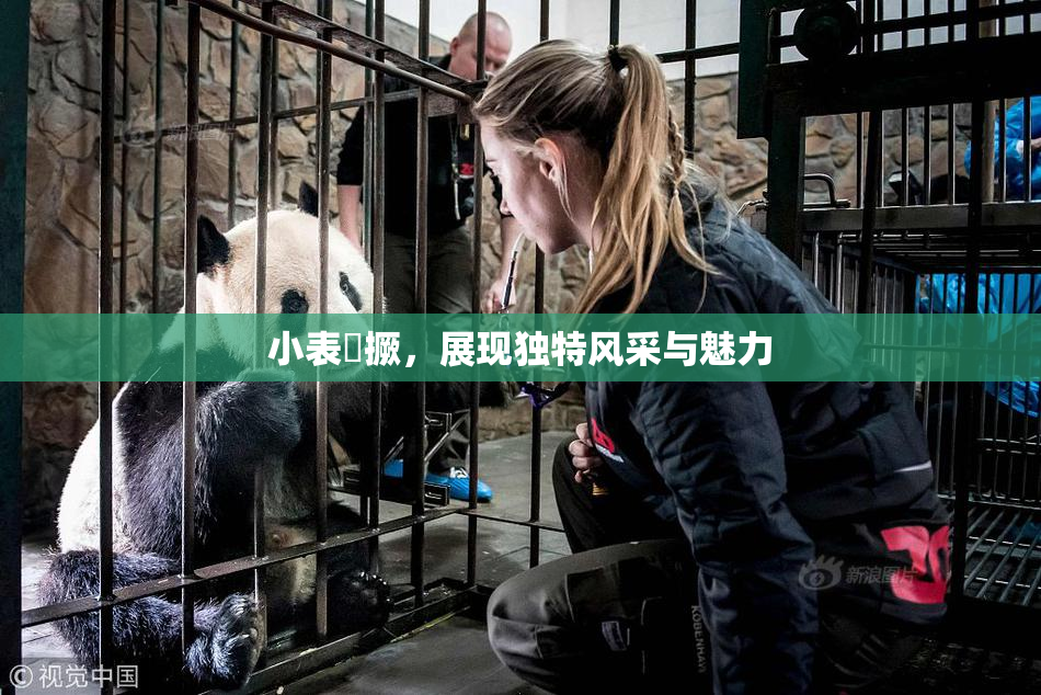 小表妺撅，展现独特风采与魅力