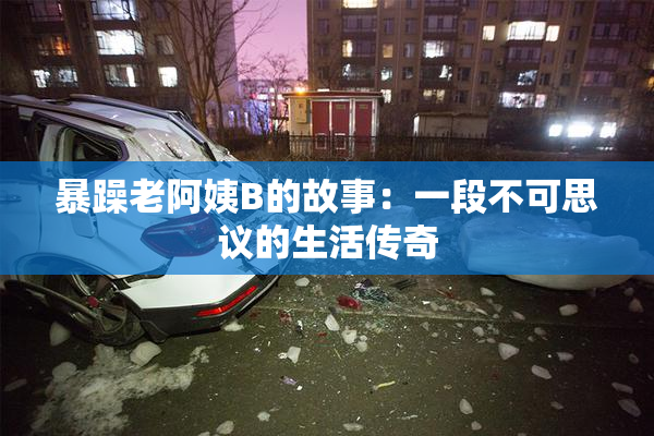 暴躁老阿姨B的故事：一段不可思议的生活传奇