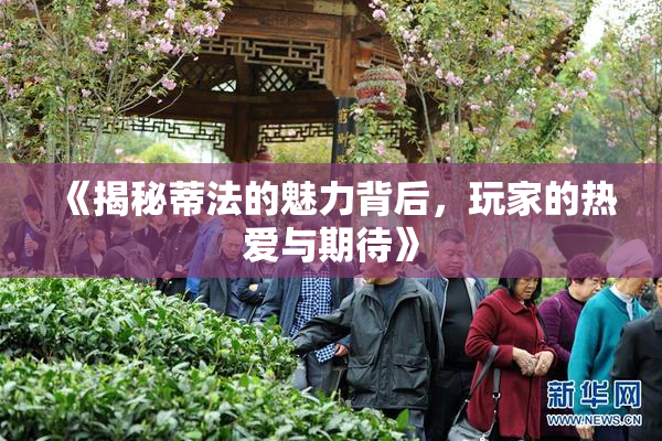 《揭秘蒂法的魅力背后，玩家的热爱与期待》
