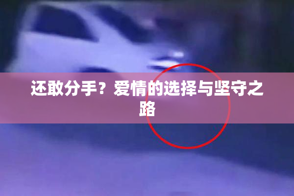 还敢分手？爱情的选择与坚守之路