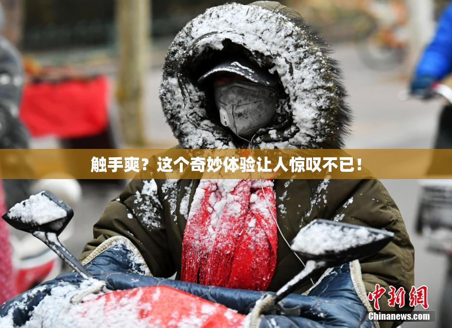 触手爽？这个奇妙体验让人惊叹不已！
