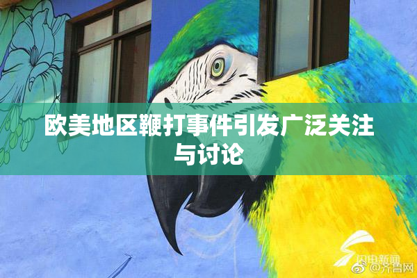 欧美地区鞭打事件引发广泛关注与讨论